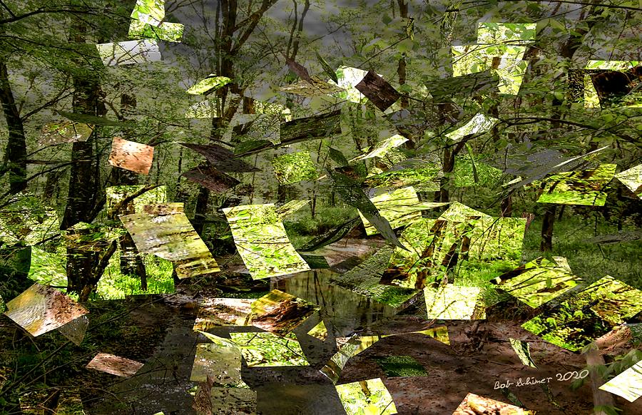 Fractured Arboreal Digital Art by Bob Shimer