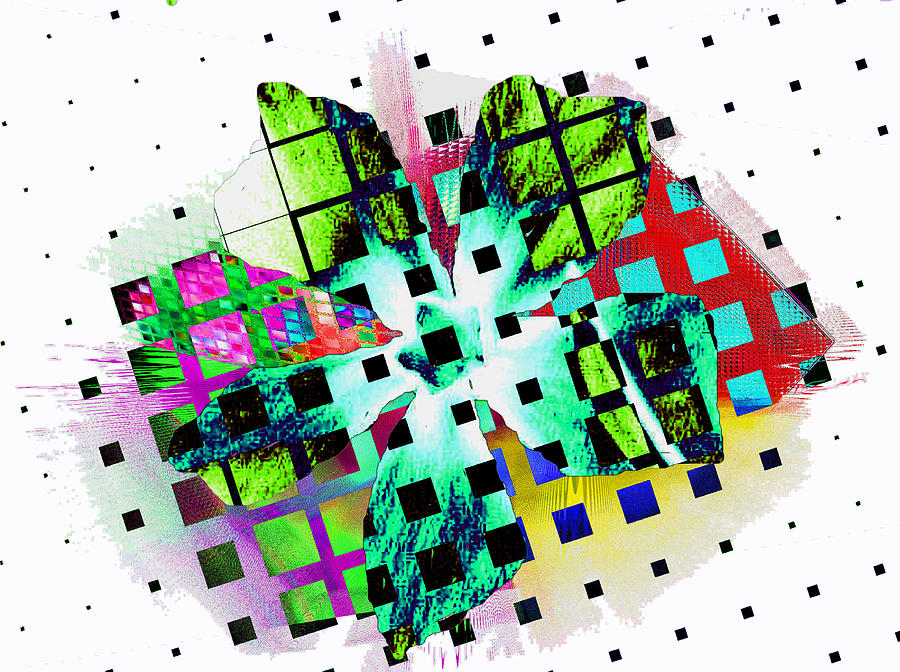 Fragments 5 2020 Master Digital Art