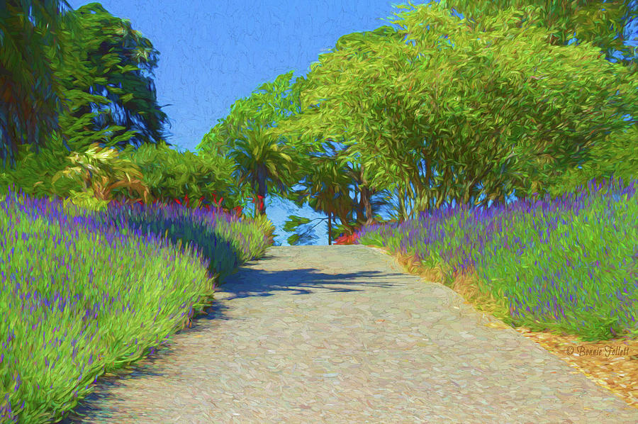 Fragrant Lavender Path Photograph