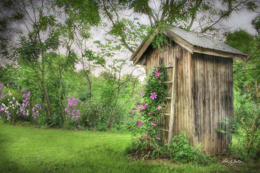 Flower Mixed Media - Fragrant Outhouse B by Lori Deiter