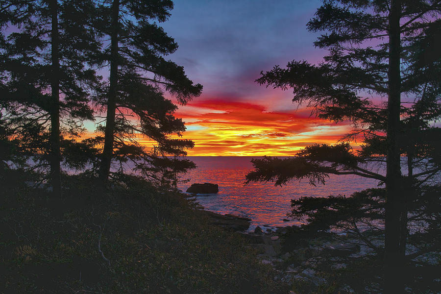Framed Acadia Sunrise Photograph by Stephen Vecchiotti