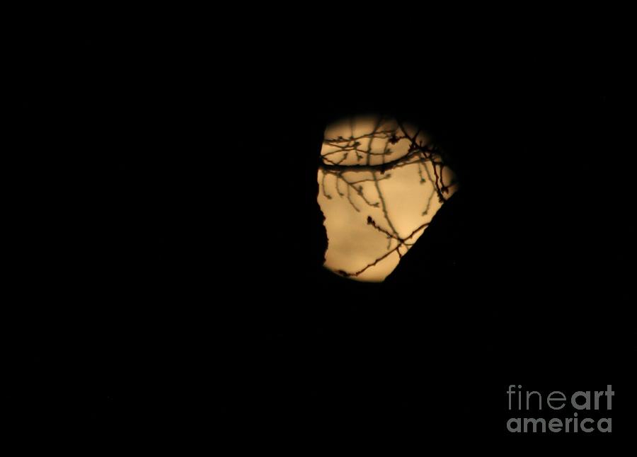 Framed Moon Photograph by Ann E Robson