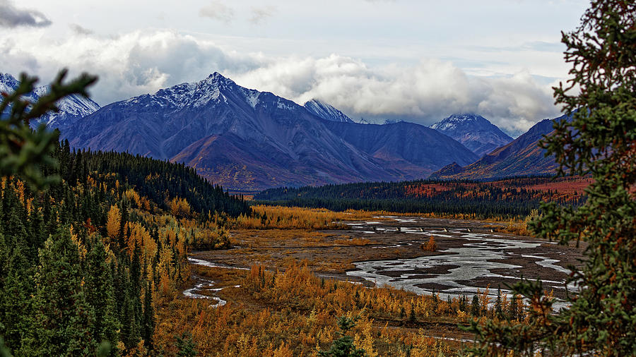Framed Alaska Range, Denali NP Photograph by Doolittle Photography and Art