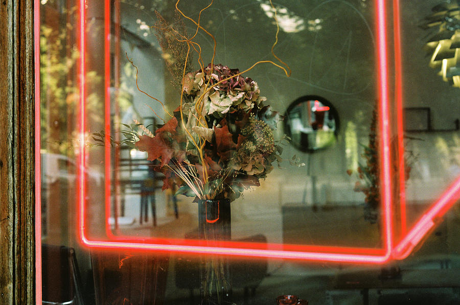 Framing neon Photograph by Barthelemy de Mazenod