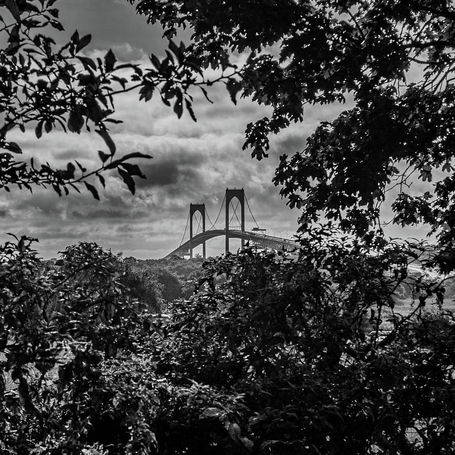 Framing the bridge Photograph by Jim Feldman