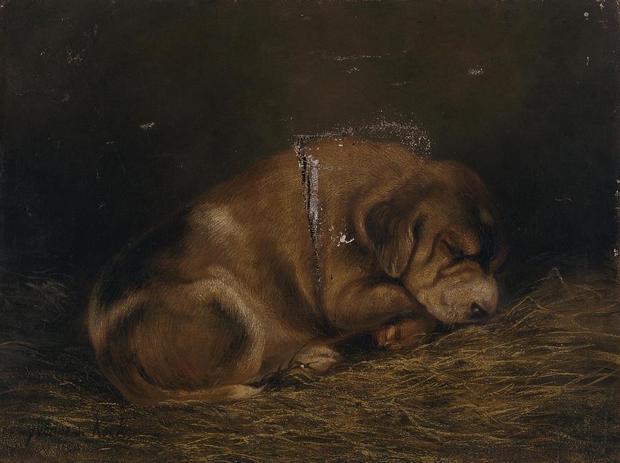 Francais Etude de chien Painting by Yvonne de Kock - Fine Art America