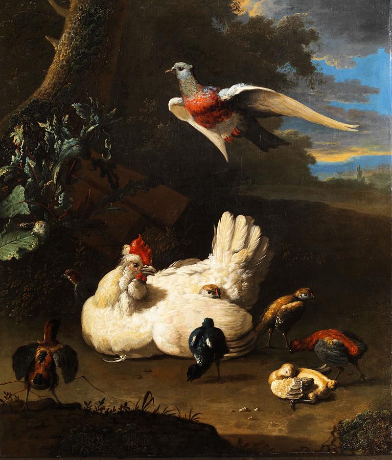 Francais Une Poule Et Ses Poussins Avec Une Colombe En Vol Pres Dun