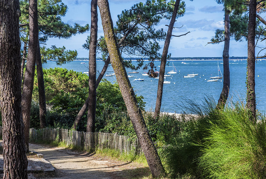 France, Arcachon Bay, access way to Pereire beach at Arcachon Photograph by Daniele SCHNEIDER France, Arcachon Bay, access way to Pereire beach at Arcachon Photograph by Daniele SCHNEIDER