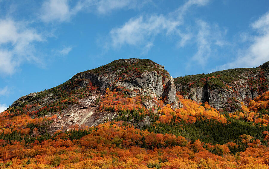 Franconia Notch Cliff In Autumn Photograph by Dan Sproul