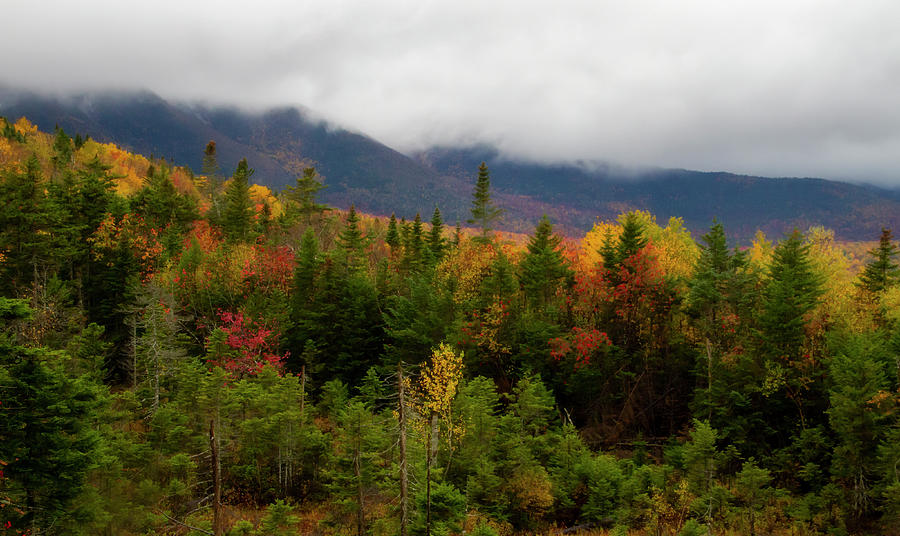 Franconia Notch State Park In Autumn Photograph by Dan Sproul