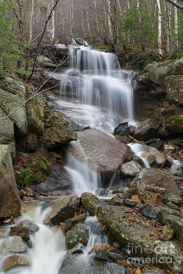Franconia Notch Waterfall - White Mountains, New Hampshire Photograph by Erin Paul Donovan