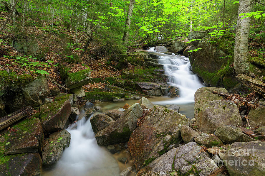 Franconia Notch - White Mountains, New Hampshire Photograph by Erin Paul Donovan