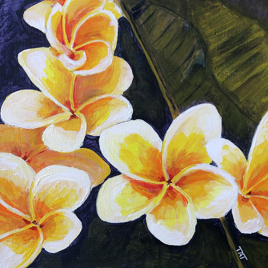 Frangipani Painting by Terri Thompson - Fine Art America