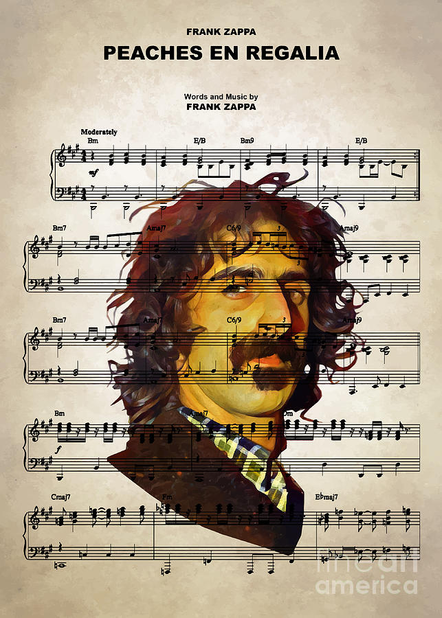 Frank Zappa - Peaches en Regalia, PDF, Musical Instruments