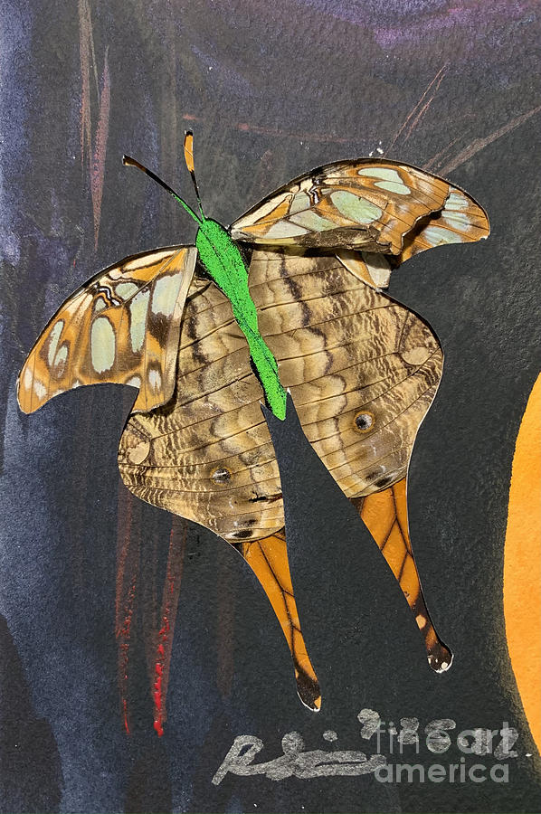 Frankenfly 18 Mixed Media by Ryan Smithson - Fine Art America