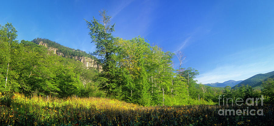 Frankenstein Cliff - Crawford Notch, New Hampshire  Photograph by Erin Paul Donovan