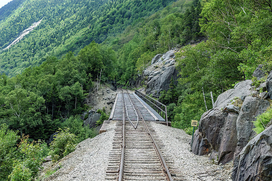 Frankenstein Trestle Photograph by Prinz Erik | Pixels