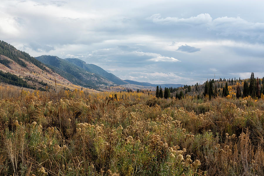 Franklin  Basin in Utah Photograph by Belinda Greb