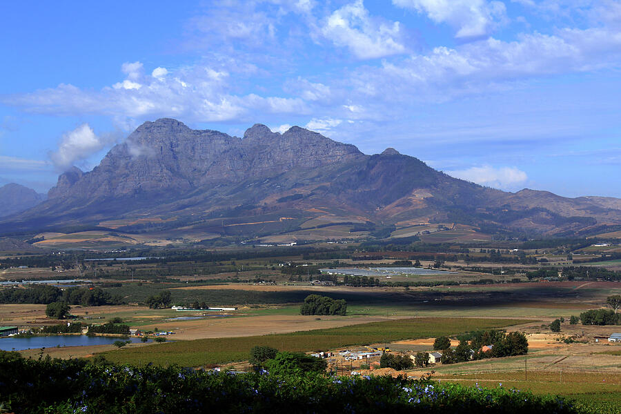 Franschhoek South African Wine Country Photograph by Richard Krebs
