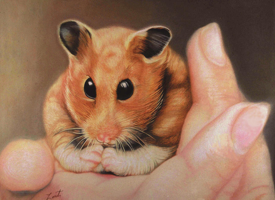 Fred The Hamster In Hand Pastel by June Pauline Zent