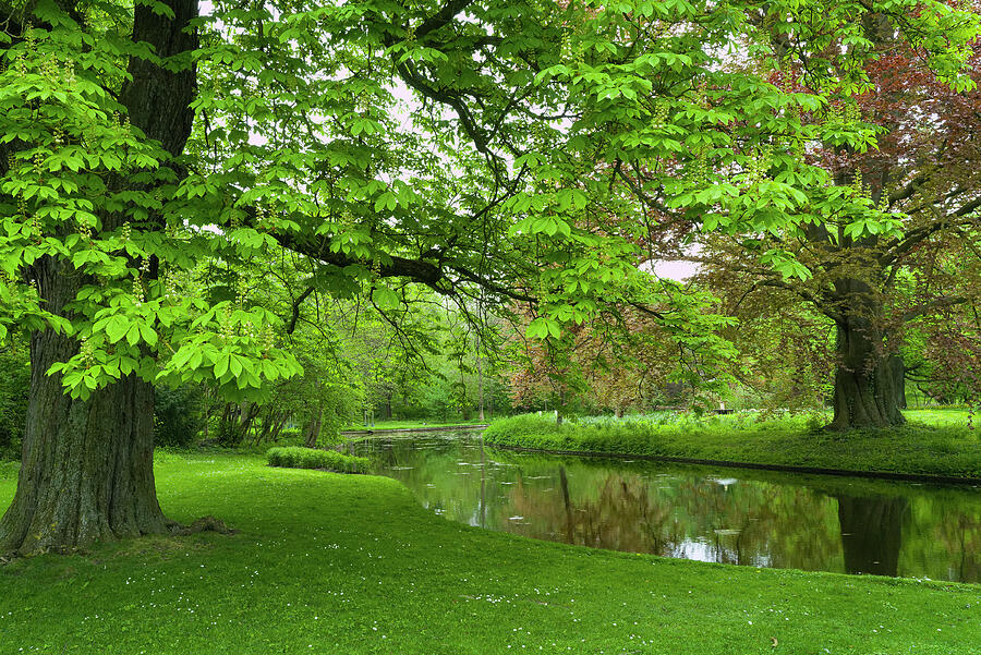 Frederiksberg Park, Copenhagen Photograph by Robert Jenkin - Fine Art ...