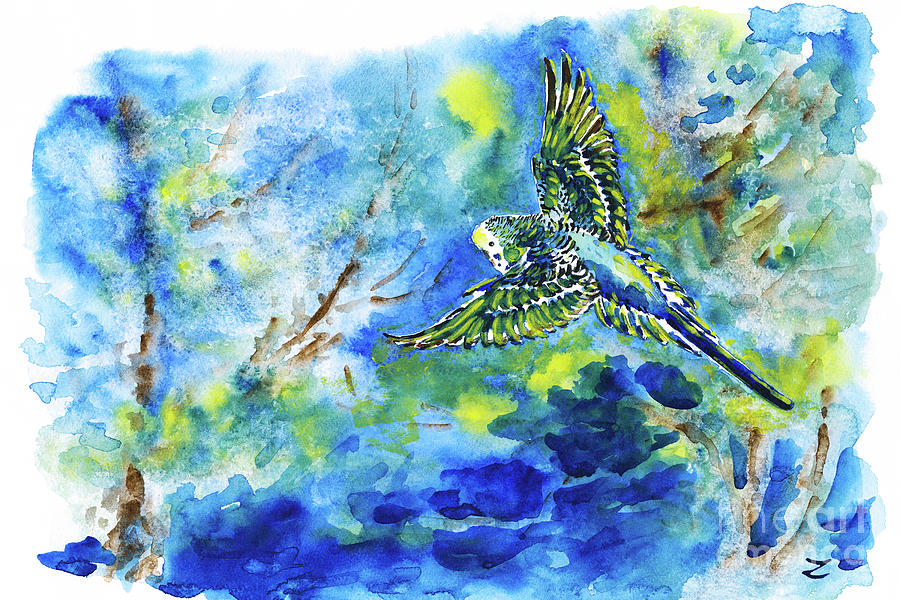 Free Flying Budgerigar Painting by Zaira Dzhaubaeva