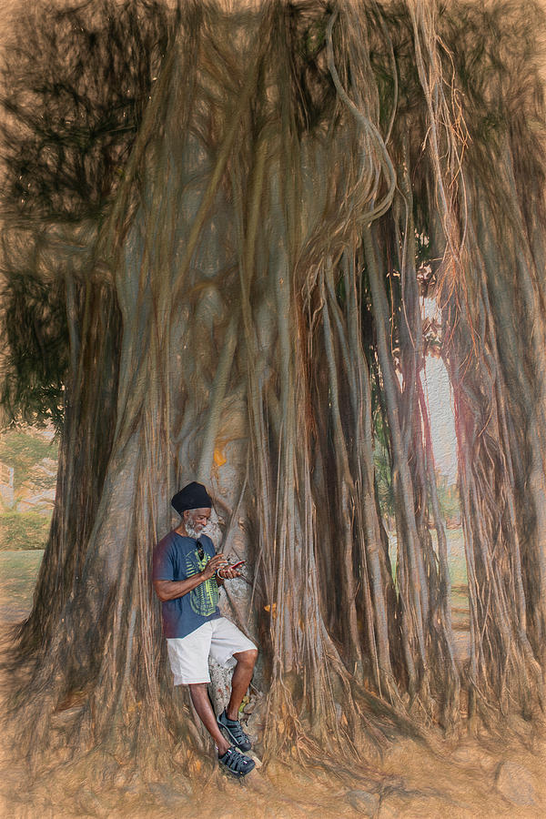 Free Photograph - Free Joseph in the Banyan by Wayne King