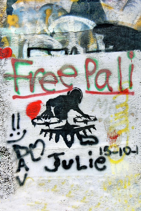 Free Pali Photograph by Munir Alawi