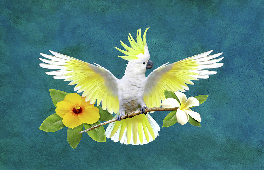 Free Spirited Cockatoo  Digital Art by Glenn Holbrook