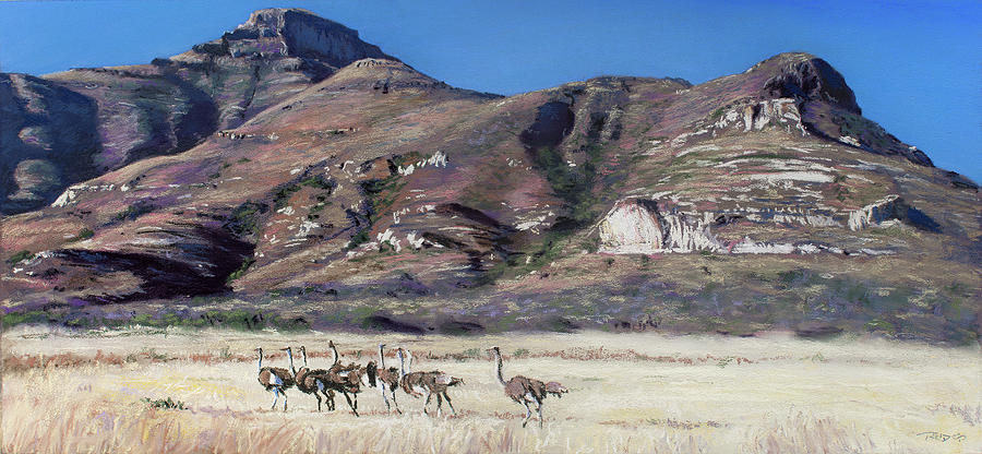 Free State Flock Pastel by Christopher Reid