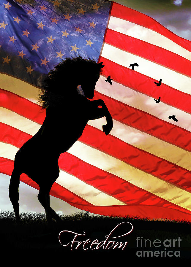 Freedom American Flag and Rearing Horse Photograph by Stephanie Laird