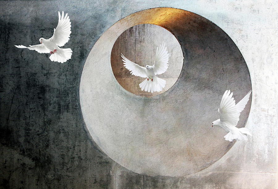 Dove Mixed Media - Freedom and Peace by Jacky Gerritsen