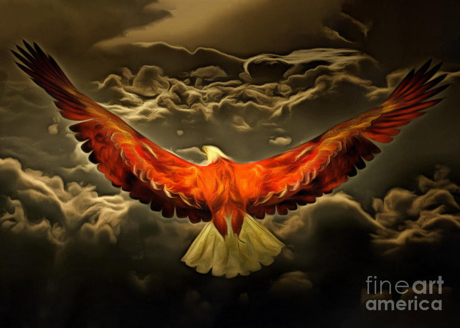 Freedom bird Digital Art by Bruce Rolff
