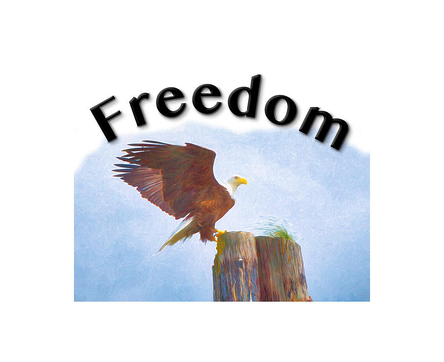 Freedom Eagle_126 Digital Art