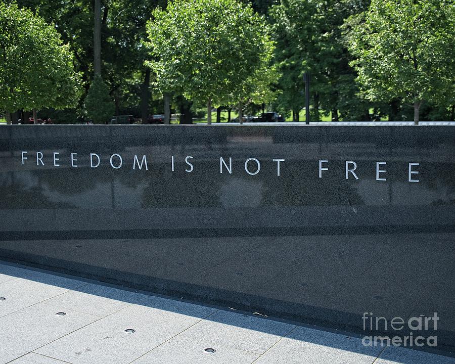Freedom Photograph by Frank Kapusta