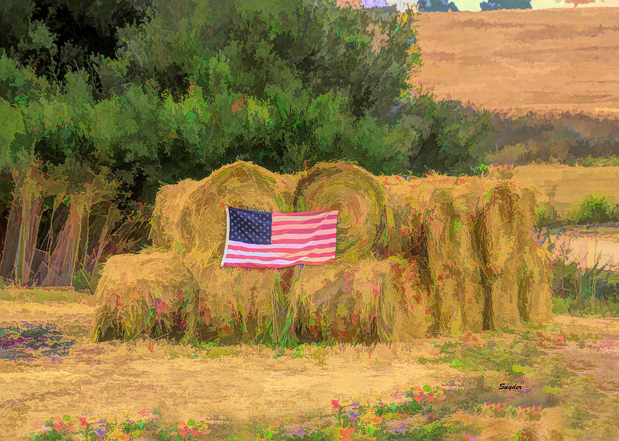 Freedom In A Haystack Photograph by Barbara Snyder