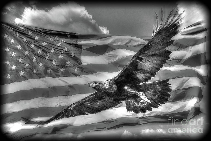 Freedom in Black and White Photograph by Bob Hislop