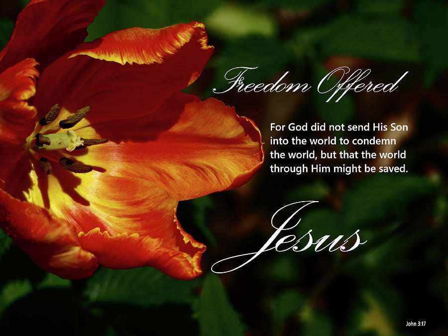 Freedom Offered, Jesus, Photograph by Dennis Burton - Fine Art America