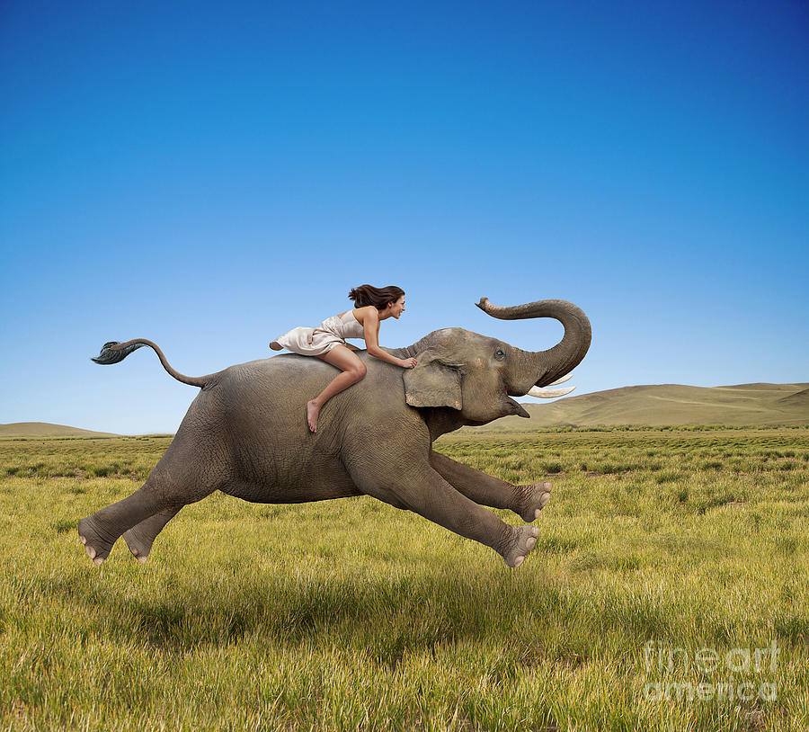 Freedom Ride Photograph By John Lund Fine Art America