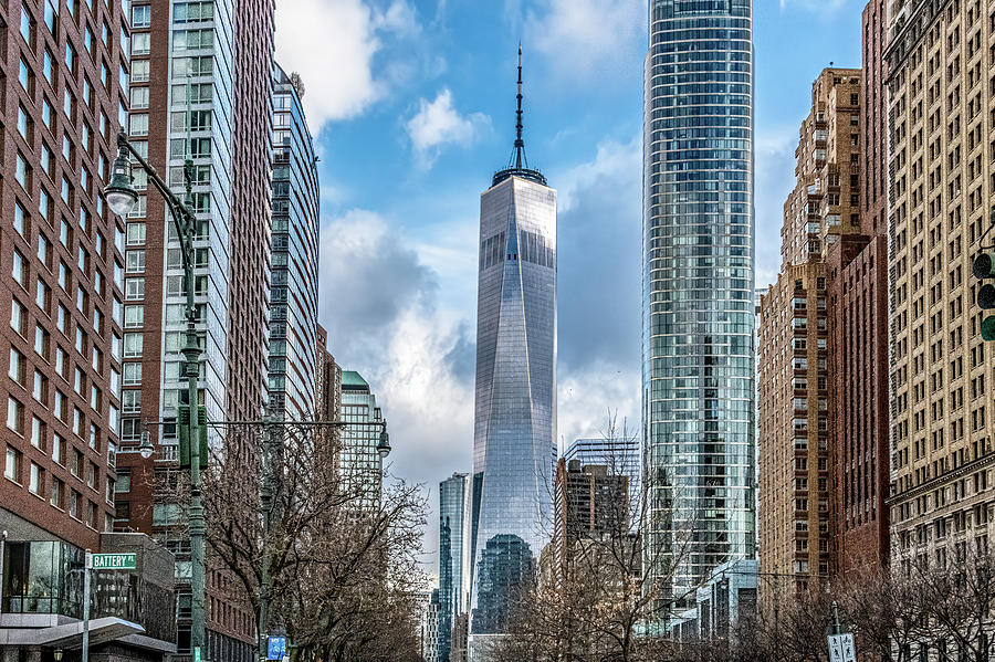 Freedom Tower from Battery Park Photograph by Douglas Wielfaert