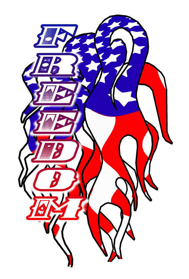Freedom a USA American Holiday Flag Digital Art by Delynn Addams Freedom a USA American Holiday Flag Digital Art by Delynn Addams