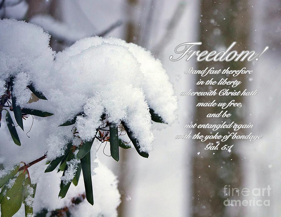 Freedom Photograph by Yvonne M Smith