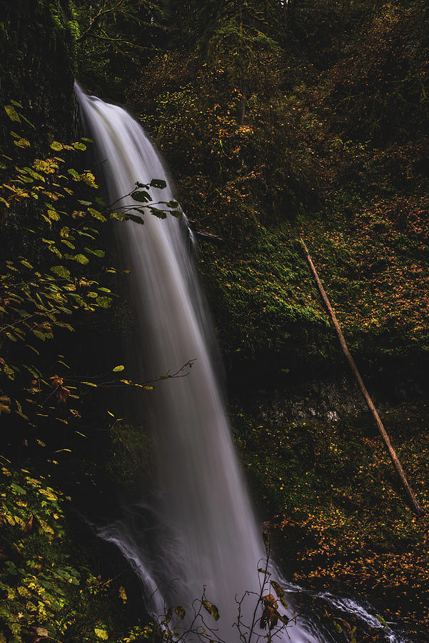 Waterfall Photograph - Freefall 1 by Bill Cantey
