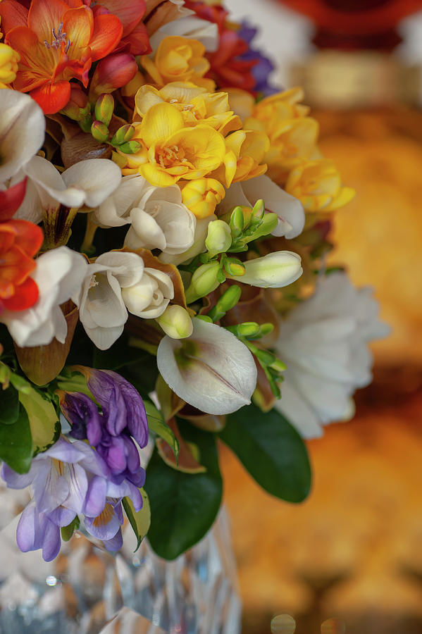 Freesia And Orchids Mixed Bouquet In Vase 1 Photograph