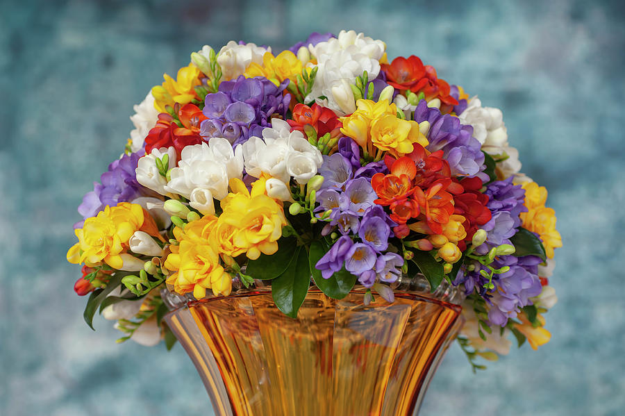 Freesia And Orchids Mixed Bouquet In Vase Photograph