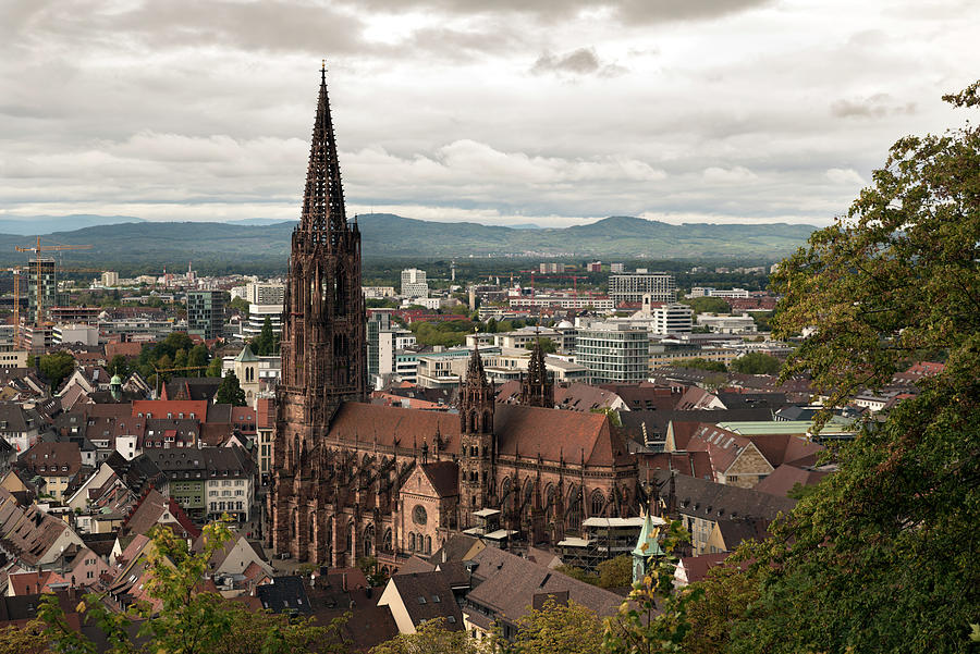 Freiburg Cathedral from Schlossberg Photograph by RicardMN Photography