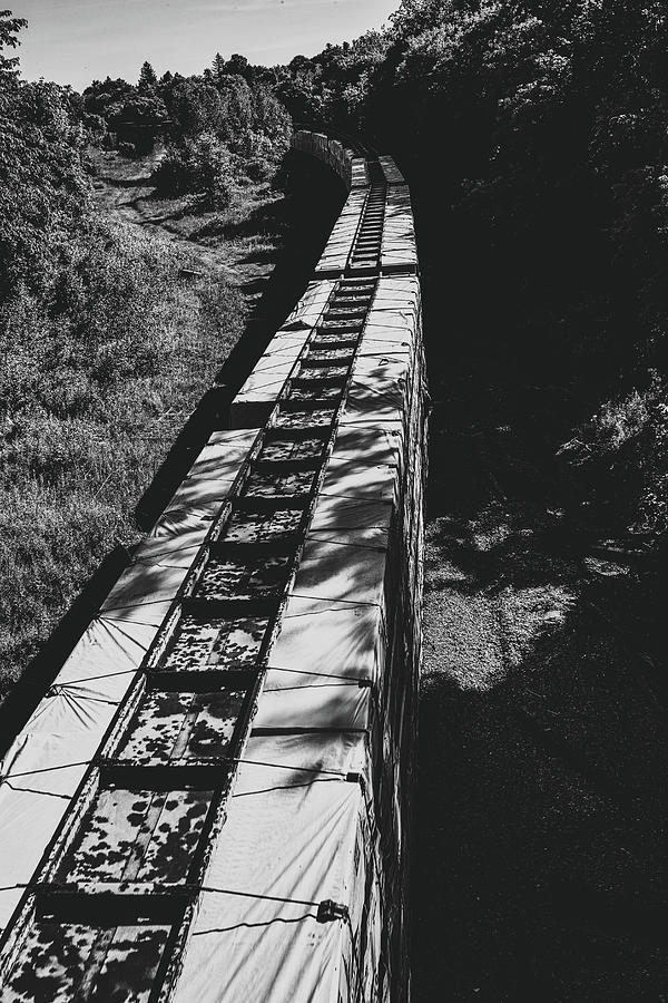 Freight Train Photograph by Bob Orsillo