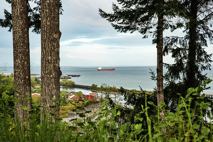 Freighter Framed by Firs Photograph by Tom Cochran