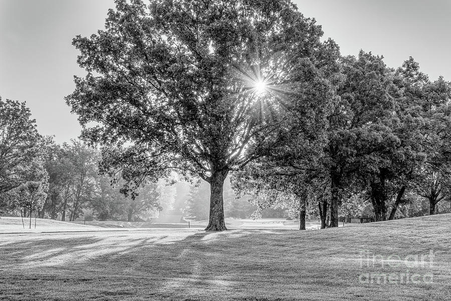 Fremont Hills Hazy Golf Morning Grayscale Photograph by Jennifer White