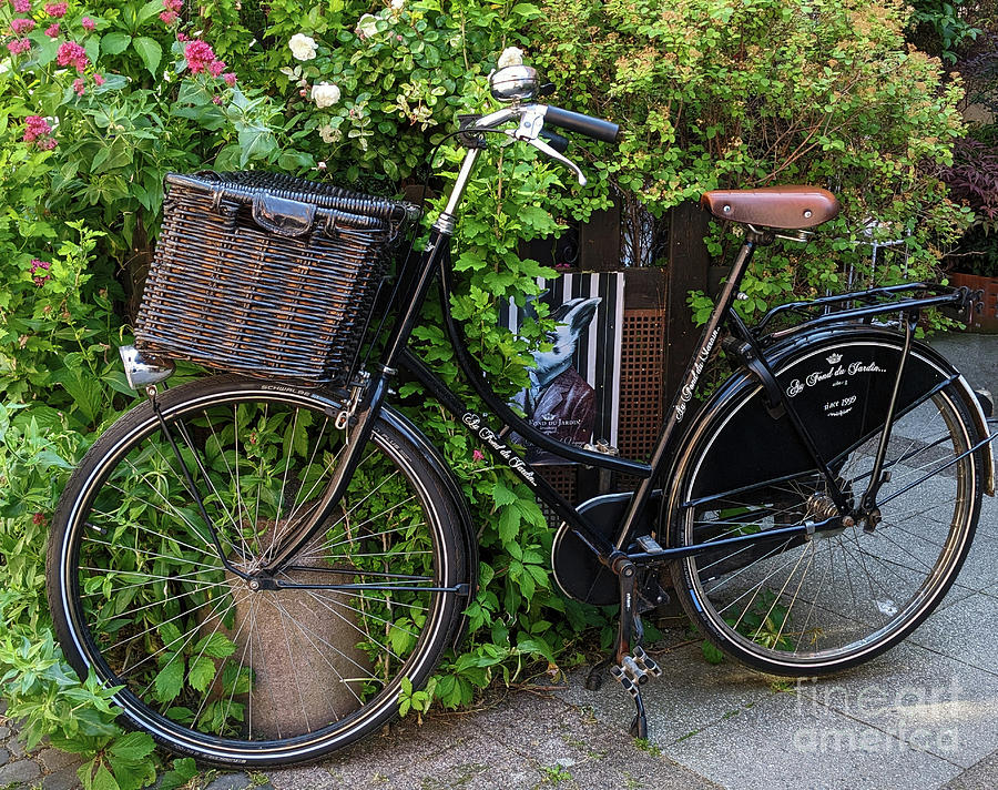 French Bicycle Photograph by Terri Brewster
